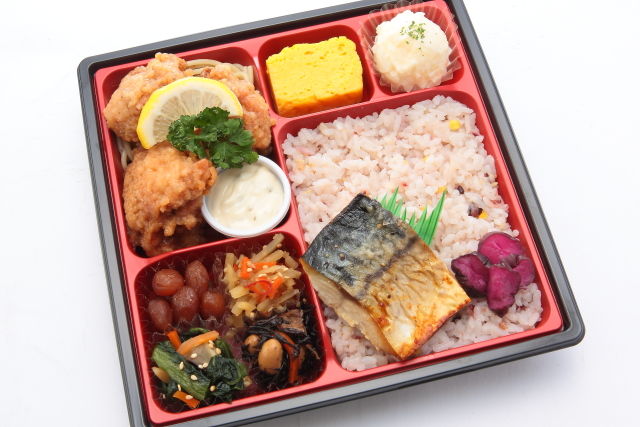 将軍弁当 ~鶏南蛮と焼きさば~