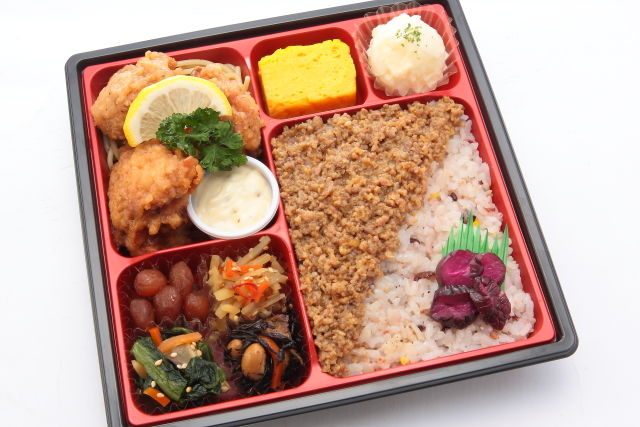 将軍弁当 ~鶏南蛮と飛騨牛そぼろ~