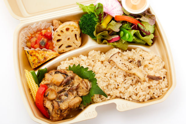 10種の彩り野菜&鳥もも肉とキノコの白ワイン煮込み弁当