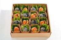 PortaFeliceゴールドプラン①