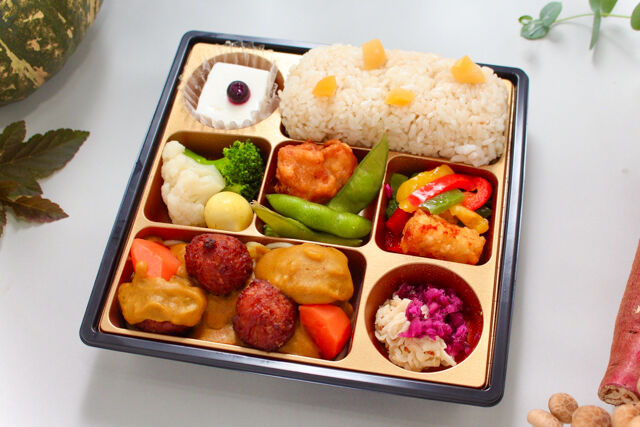 satomi〜有名シェフがてがけるおべんとう〜（大阪店）-【秋限定】De luxe／オリエンタルラグー煮込み肉団子