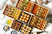 スペシャルコース