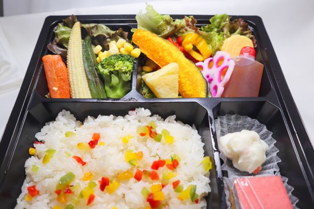 洋食 出水-10種野菜の彩り弁当