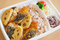 カラダをはぐくむレストラン コトコト-【選べるメイン】カラダをはぐくむお弁当