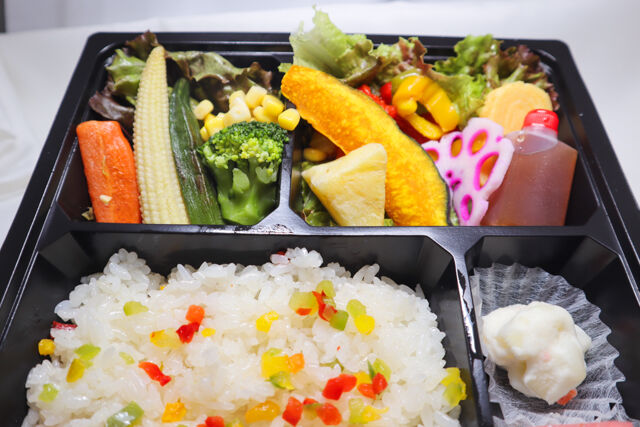 Demi's farm-10種野菜の彩り弁当
