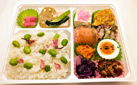 Gypsophile-春のお花見弁当