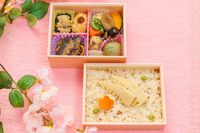 日本ばし大増-【春限定】たけのこごはん折詰