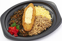 九州で人気のお弁当TOMY-TOMYバラエティ丼（8）鶏そぼろ