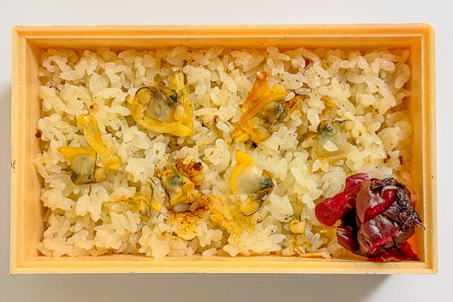 桜小路-【春限定】薄桜弁当～あさりの炊き込みご飯～