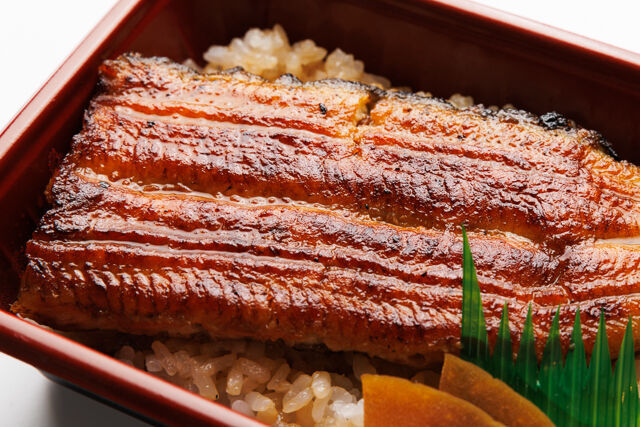 つきじ宮川本廛-国産うなぎ弁当 椿（大1／2尾）