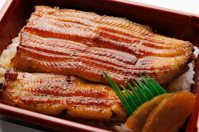 つきじ宮川本廛-国産うなぎ弁当 梅（中3／4尾）