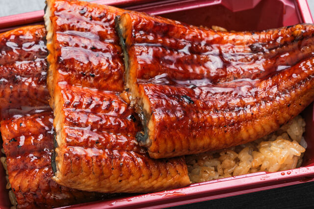 鰻の梅咲-うな重特上弁当
